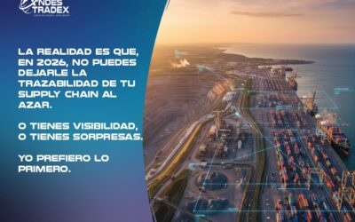 De Caos Logístico a Control Total: Cómo la Falta de Visibilidad Daña tu Supply Chain y Cómo Andes Tradex lo Resuelve